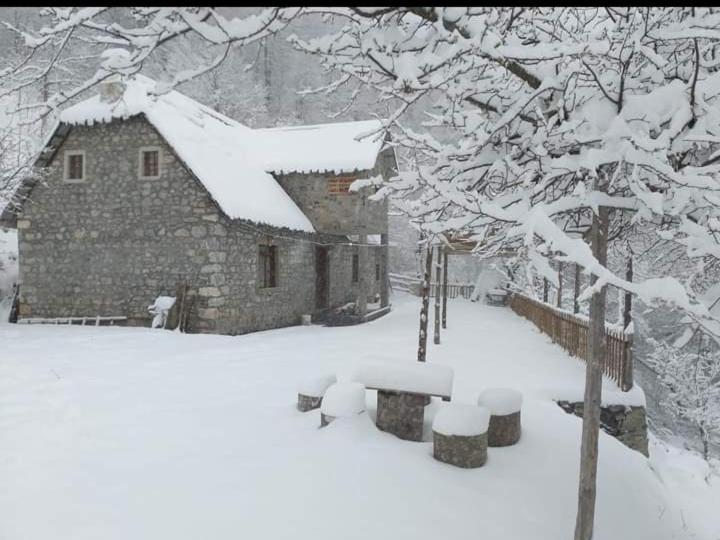 Guest House Gjelaj Theth Εξωτερικό φωτογραφία