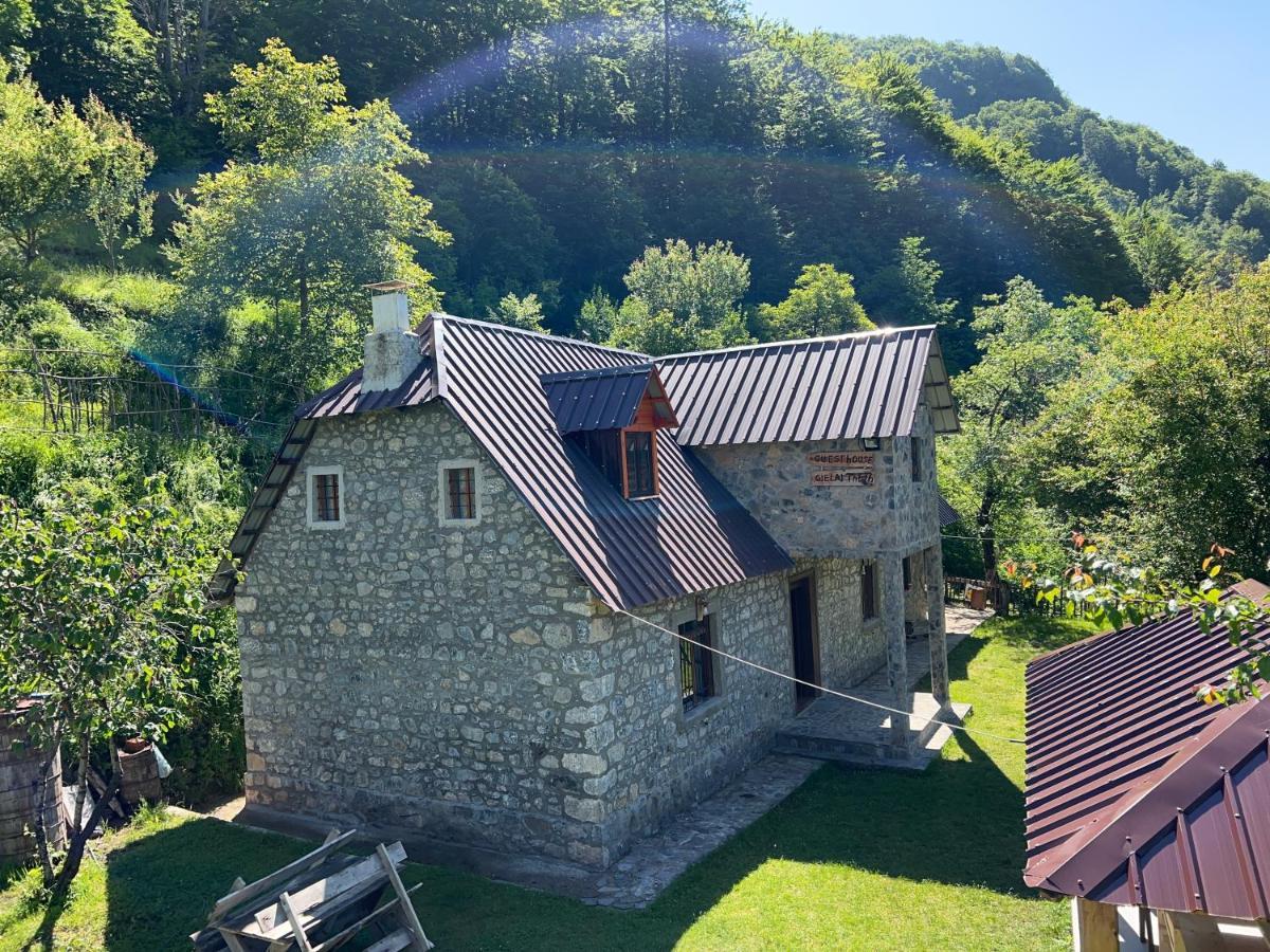 Guest House Gjelaj Theth Εξωτερικό φωτογραφία